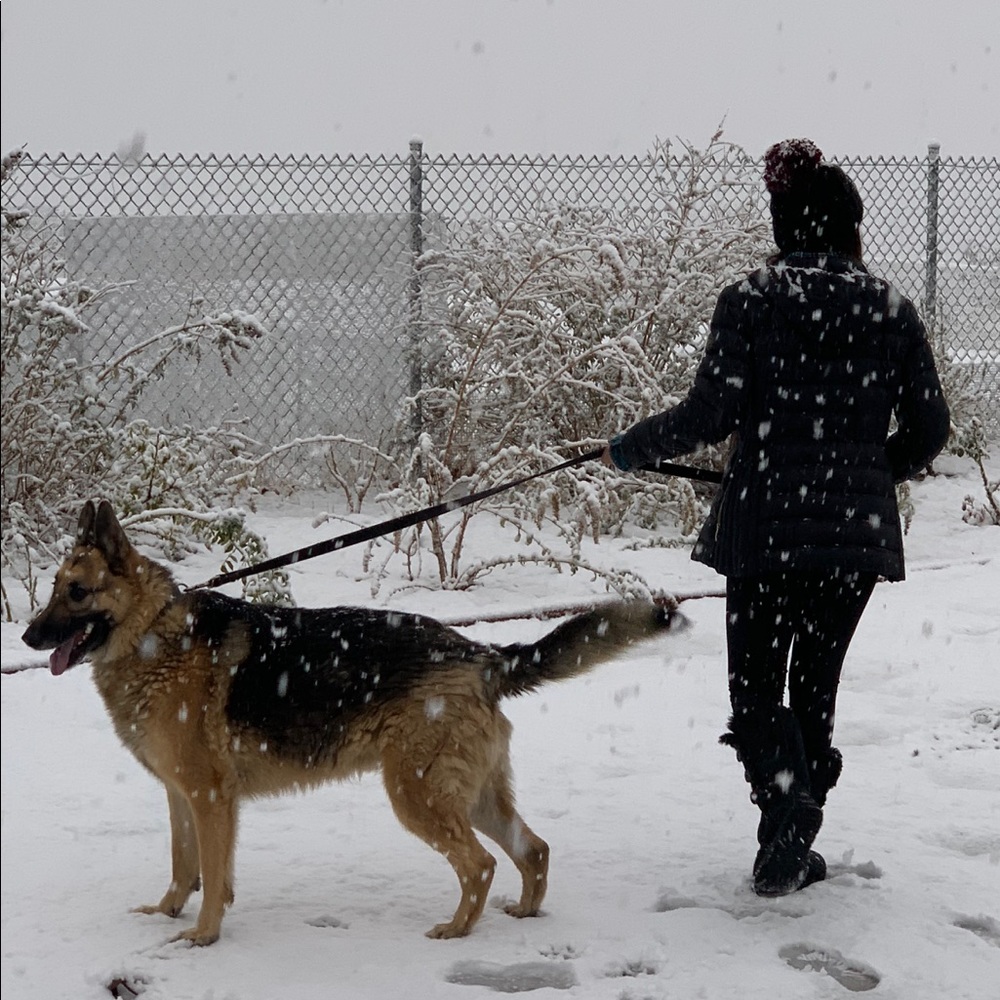 Meet your Posher, Emily